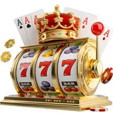 dbbet login