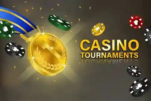 dbbet login